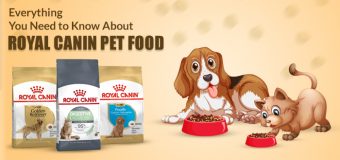 Everything You Need to Know About Royal Canin Pet Food