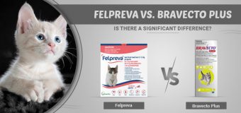 Felpreva vs. Bravecto Plus: Is There a Significant Difference?