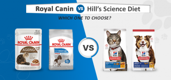Royal Canin vs. Hill’s Science Diet: Which One to Choose?