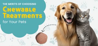 The Merits of Choosing Chewable Treatments for Your Pets