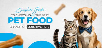 Complete Guide to Choosing the Best Pet Food Brand for Sensitive Pets