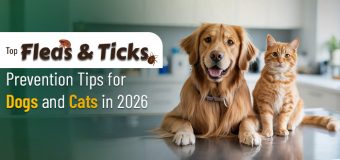 Top Flea & Tick Prevention Tips for Dogs and Cats in 2026