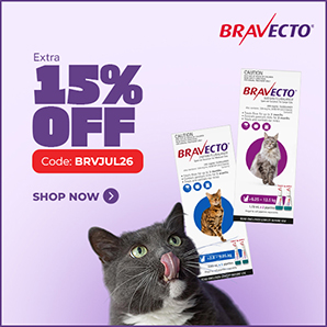 Bravecto Spot On for cats