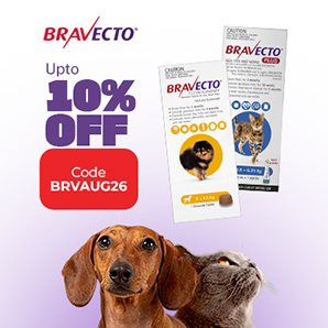 bravecto offer