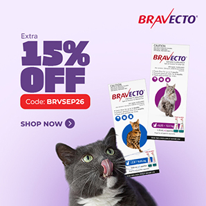 bravecto spot on for cats