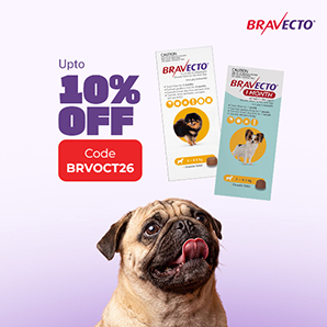 bravecto for dog offer