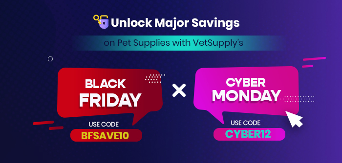Black Friday & Cyber Monday Sale 2025