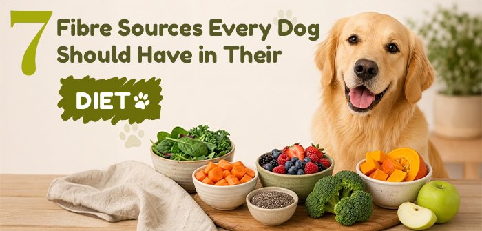 7 Fibre Sources Every Dog Should Have in Their Diet 